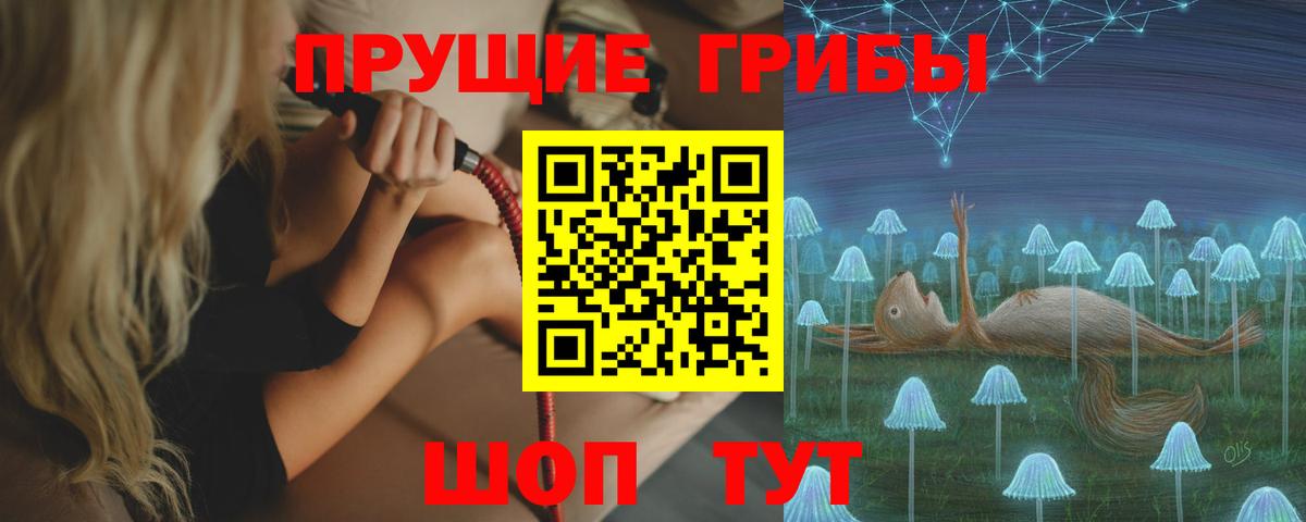 Псилоцибиновые грибы Cubensis  Вход с VPN  Зеленокумск 