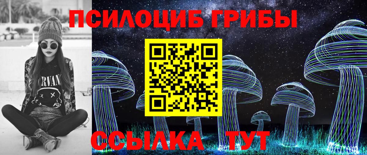 Псилоцибиновые грибы прущие грибы Зеленокумск